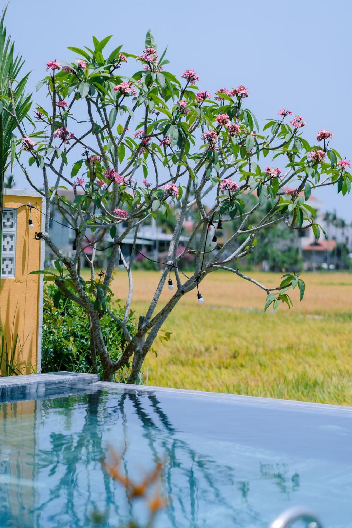 Bs Jade Home Hoi An Exterior photo