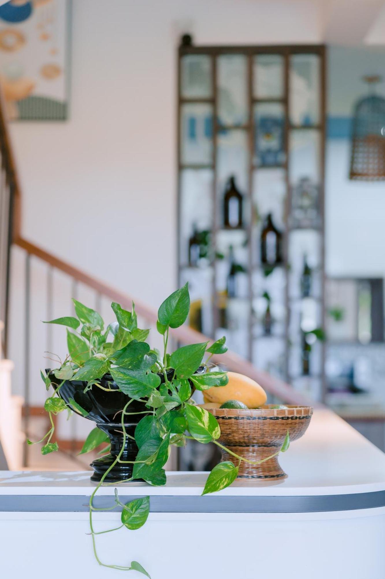 Bs Jade Home Hoi An Exterior photo